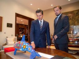 DiCaprio ha sido un promotor de campaña para salvar a la vaquita marina de la extinción. TWITTER / @EPN