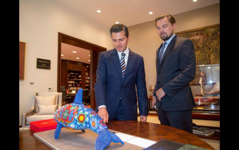 DiCaprio ha sido un promotor de campaña para salvar a la vaquita marina de la extinción. TWITTER / @EPN