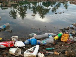 De acuerdo con datos de Greenpeace, al año se tiran cerca de ocho millones de toneladas de basura a los océanos. TWITTER / @NoticiasONU