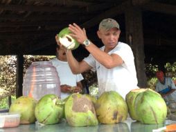 La tendencia a la alza del consumo de coco se debe a su buena aportación de potasio y su función como buen regulador sanguíneo. NTX / ARCHIVO