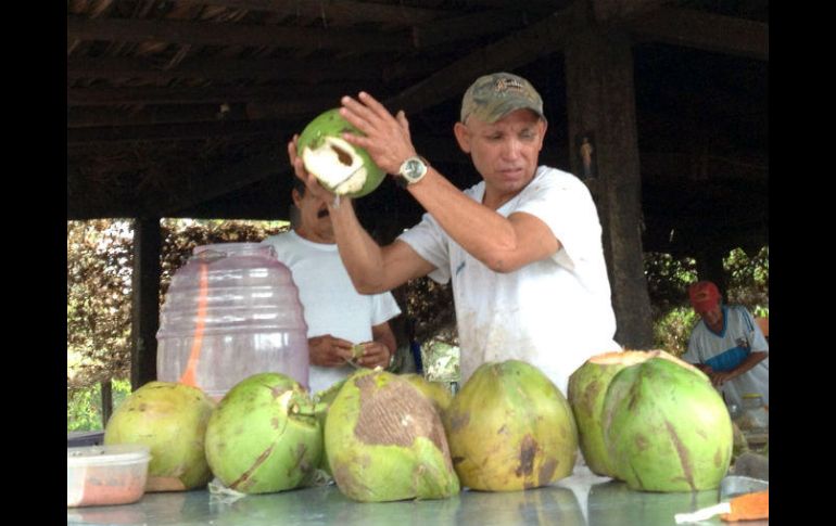 La tendencia a la alza del consumo de coco se debe a su buena aportación de potasio y su función como buen regulador sanguíneo. NTX / ARCHIVO