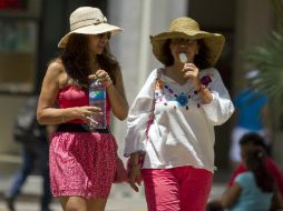 El golpe de calor es el incremento de la temperatura corporal a más de 40 grados centígrados y es más frecuente en los adultos mayores. NTX / ARCHIVO