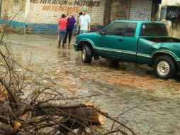 En la colonia Artesanos, un árbol cayó sobre varios vehículos. Fue retirado por la Unidad de Protección Civil y Bomberos del municipio. TWITTER / @PCTlaquepaque