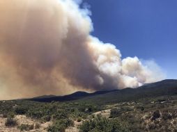 Más de 500 bomberos combatían este miércoles el incendio, con ayuda de helicópteros y aviones. AP / L. Stukenberg