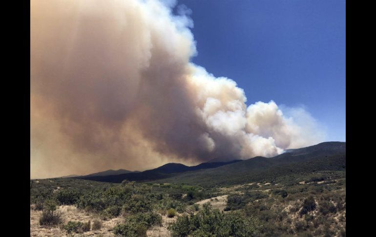 Más de 500 bomberos combatían este miércoles el incendio, con ayuda de helicópteros y aviones. AP / L. Stukenberg