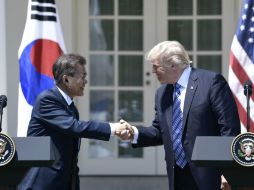 Este viernes, el líder de la Casa Blanca se reunió en sus jardines con el presidente de Corea del Sur, Moon Jae-in. AFP / B. Smialowski