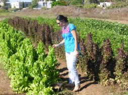 Mely Romero Celis, subsecretaria de Desarrollo Rural de la Sagarpa, visitó Israel para conocer los procesos agrícolas en ese país. FACEBOOK / MelyRomeroC