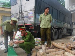 Policía vietnamita durante la detención del camión que transportaba el marfil. AFP / T. Duy