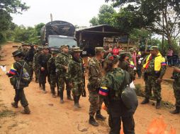 Así, la resolución da la bienvenida a la finalización del proceso de dejación de las armas por parte de las FARC. NTX / ARCHIVO