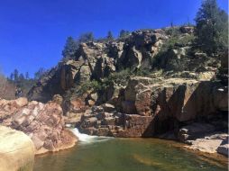 Bosque Nacional Tonto, lugar donde se encontraba la familia de mexicanos que fue arrastrada por las aguas de este lugar. AP / ARCHIVO