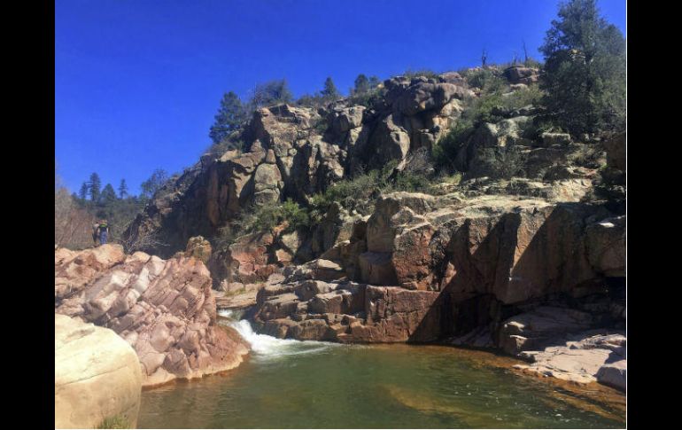 Bosque Nacional Tonto, lugar donde se encontraba la familia de mexicanos que fue arrastrada por las aguas de este lugar. AP / ARCHIVO