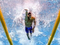 El estadounidense Caeleb Dressel durante la prueba de los 100 metros estilo libre celebrada ayer. AFP / F. Marit