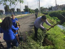 El proyecto continuará el próximo cuatrimestre con el fin de convertir el canal en un sendero que cuente la historia de los árboles. TWITTER / @SistemaUNIVA