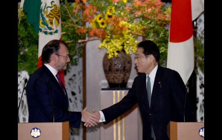 La de Videgaray es la primera visita en tres años de un ministro de Exteriores mexicano a Japón. AFP / T. Yamanaka