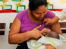 La leche materna contiene las cantidades exactas de grasa, proteínas, carbohidratos, agua, vitaminas y minerales que necesita el bebé. EL INFORMADOR / ARCHIVO