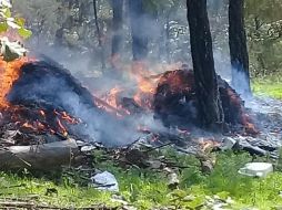 La Fuerza Única quemó el total de los plantíos que encontraron. TWITTER / @FiscaliaJal