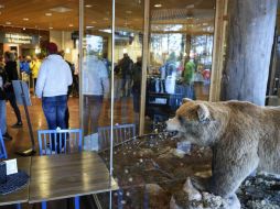 Los hechos ocurrieron en el Orsa Rovdjurspark, un lugar que alberga animales salvajes. EFE / Ulf Palm/TT