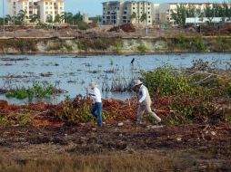 La autorización de Fonatur fue emitida en materia de impacto ambiental por la Semarnat para el Anteproyecto Malecón Cancún. SUN / ARCHIVO