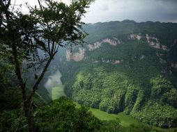 El cañón del Sumidero es una de las áreas más contaminadas del río Grijalva por las descargas residuales de 16 municipios. NTX / R. de Jesús