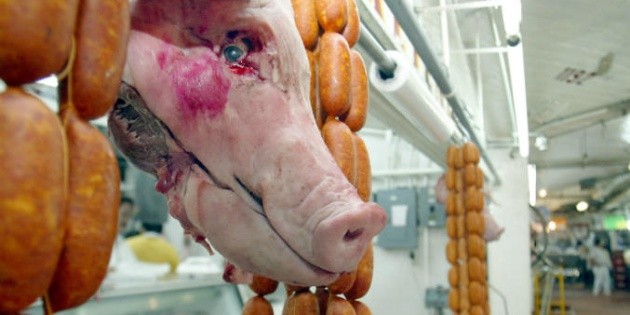 La Carne De Cerdo No Es Dañina Académica De La Unam El Informador 9205