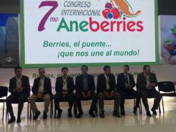 Las ventas de berries a Estados Unidos equivalen a 302 mil 707 toneladas, con un valor de mil 560 millones de dólares. EL INFORMADOR / A. Gallegos