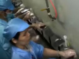 Mujeres trabajan en fábrica taiwanesa en la creación de Iphone 8. YOUTUBE / Slashleaks