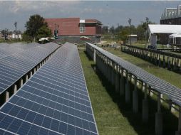 La Universidad de Guadalajara invirtió 20 millones de pesos en un huerto solar. EL INFORMADOR / F. Atilano