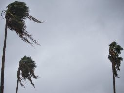 El huracán 'Harvey' llegará al territorio estadounidense en las próximas horas. AP / N. Wagner