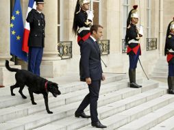 La mascota es vista hoy en el patio del Palacio presidencial del Elíseo durante una recepción oficial. EFE / Y. Valat