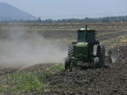 José Calzada Rovirosa, titular de la Sagarpa, señaló que el incorporar valor agregado a la producción agrícola es un factor relevante. EL INFORMADOR / ARCHIVO