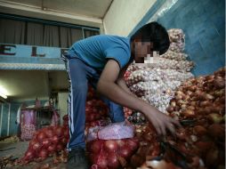 De lo que gana en su trabajo en el Mercado de Abastos, Alan paga su lonche de lunes a viernes, cuando va a la secundaria. EL INFORMADOR / F. Atilano