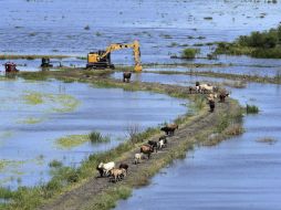 El viernes se vieron cuadrillas en Santa Ana que cavaban pozos para ensayos del terreno para contener las aguas. AP / G. Barranco