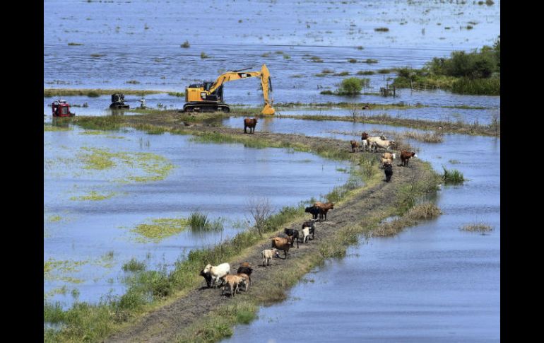 El viernes se vieron cuadrillas en Santa Ana que cavaban pozos para ensayos del terreno para contener las aguas. AP / G. Barranco