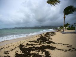 El ojo del potencialmente catastrófico huracán ''Irma'', de categoría 5, pasa en estos momentos sobre las Antillas Menores. AFP / L. Chamoiseau