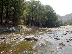 La presa El Zapotillo se pretende abastecer del río Verde para dotar de agua a León, Los Altos de Jalisco y Guadalajara. EL INFORMADOR / ARCHIVO