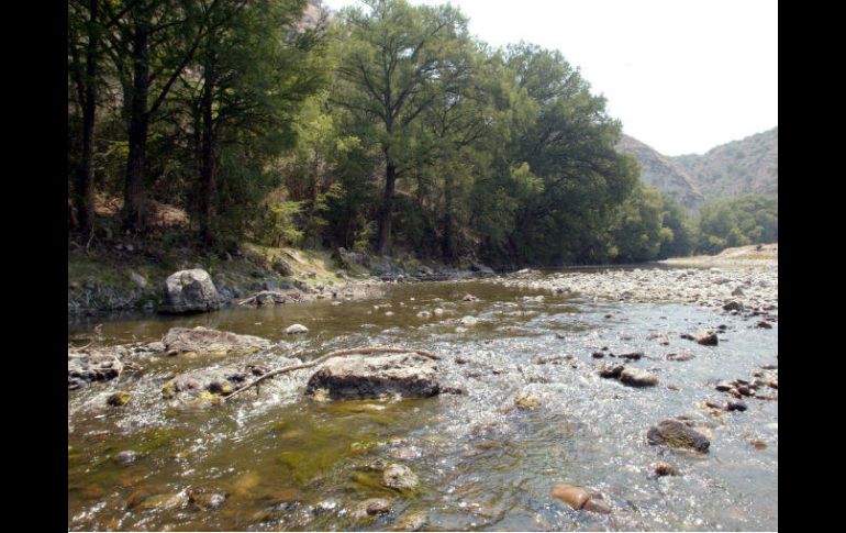 La presa El Zapotillo se pretende abastecer del río Verde para dotar de agua a León, Los Altos de Jalisco y Guadalajara. EL INFORMADOR / ARCHIVO