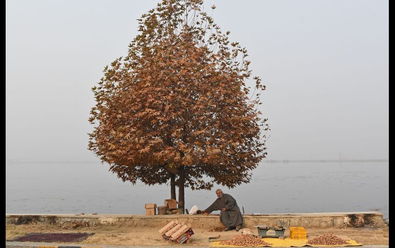 Un cachemir que vende nueces aguarda clientes en las orillas del lago Dal, en Srinagar, India. AFP/T. Mustafa