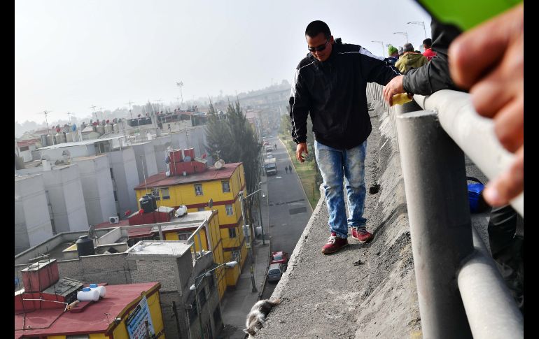 Un paramédico realiza una labor de rescate de un gato que quedó atrapado en la parte alta de un distribuidor vial al sur de la Ciudad de México. SUN / H. García