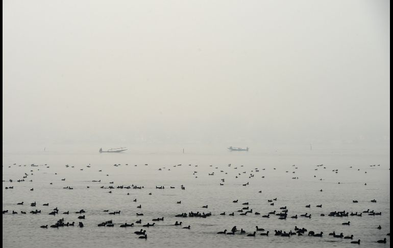 Cachemires navegan el lago Dal en una mañana con neblina en Srinagar, India. AFP/T. Mustafa