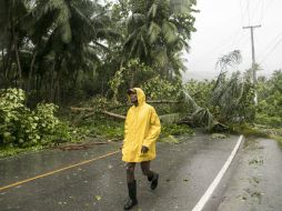 ''Irma'' deja al menos ocho muertes y 23 heridos en territorios insulares del Caribe francés. AP / T. Fernández