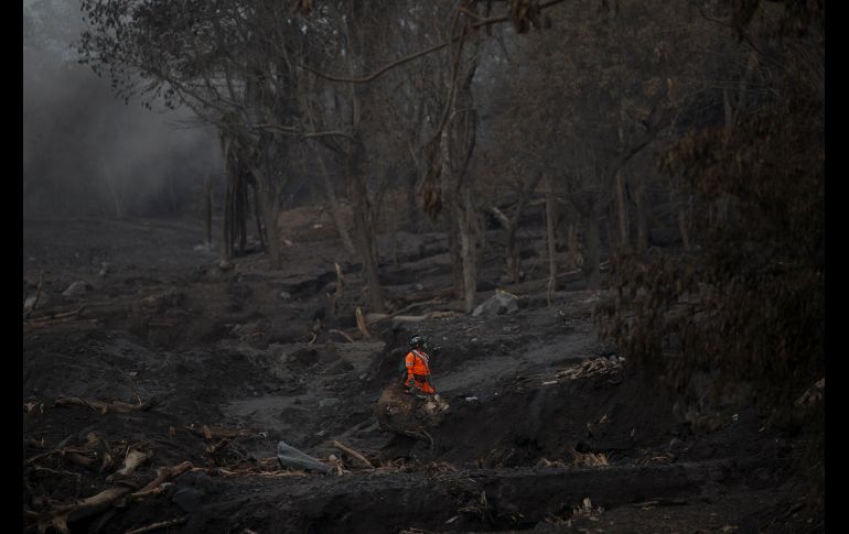 Un rescatista busca en El Rodeo, Guatemala, cuerpos de víctimas de la erupción del Volcán de Fuego. AP/L. Soto