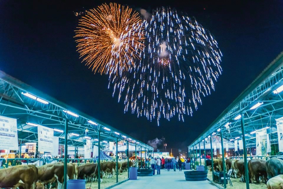 Vive la Feria Nacional Potosina El Informador