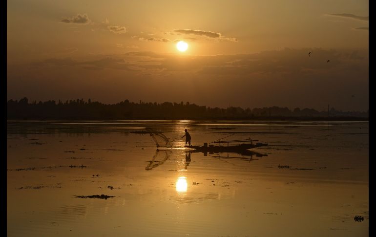 Un pescador arroja su red al lago Dal en Srinagar, India. AFP/T. Mustafa