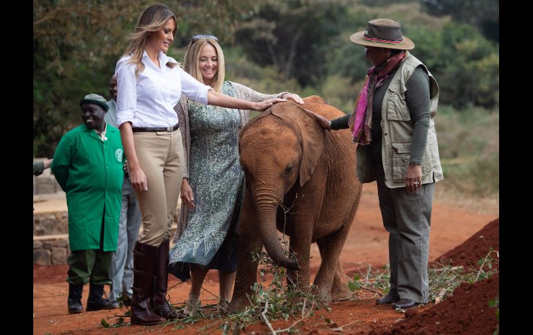 Las primeras damas de Estados Unidos, Melania Trump (i), y de Kenia, Margaret Kenyatta (d), acarician un elefante en el Orfanato de elefantes David Sheldrick en Nairobi. Trump realiza una gira por África para promover su programa de bienestar para niños. AFP/S. Loeb