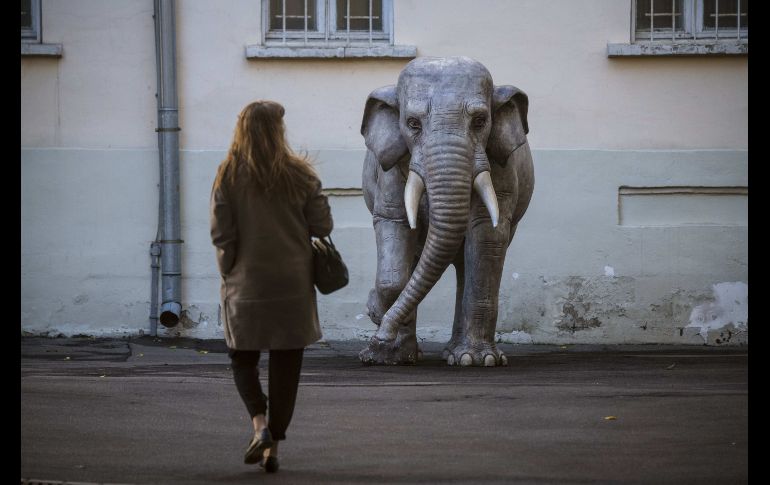 Una mujer camina junto a la escultura de un elefante en el patio del Museo Estatal de Arte Oriental en Moscú, Rusia. AFP/M. Antonov