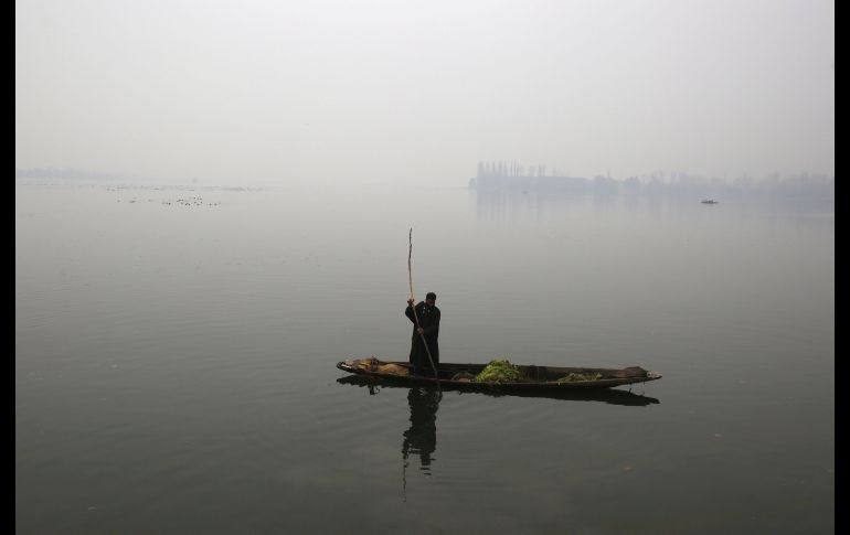 Un hombre extrae algas desde su barca en el lago Dal de Srinagar, la capital de verano de Jammu y Cachemira. EFE/F. Khan