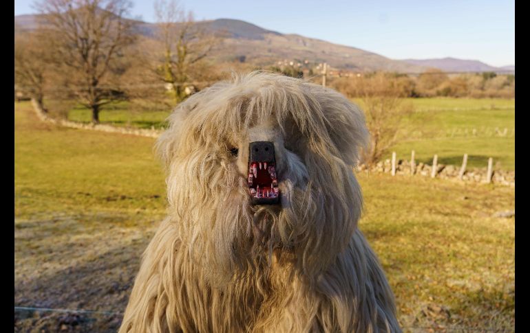 Un participante del carnaval La Vijanera posa en Silió, España. La celebración cuenta con unos 60 personajes que actúan para despedir el año que terminó y preparar el nuevo. AFP/C. Manso