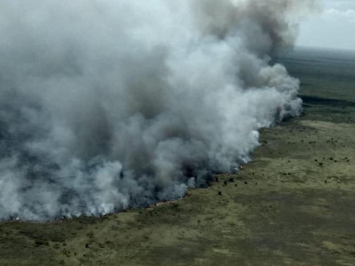  Incendios dañan más de dos mil hectáreas de reserva de QR