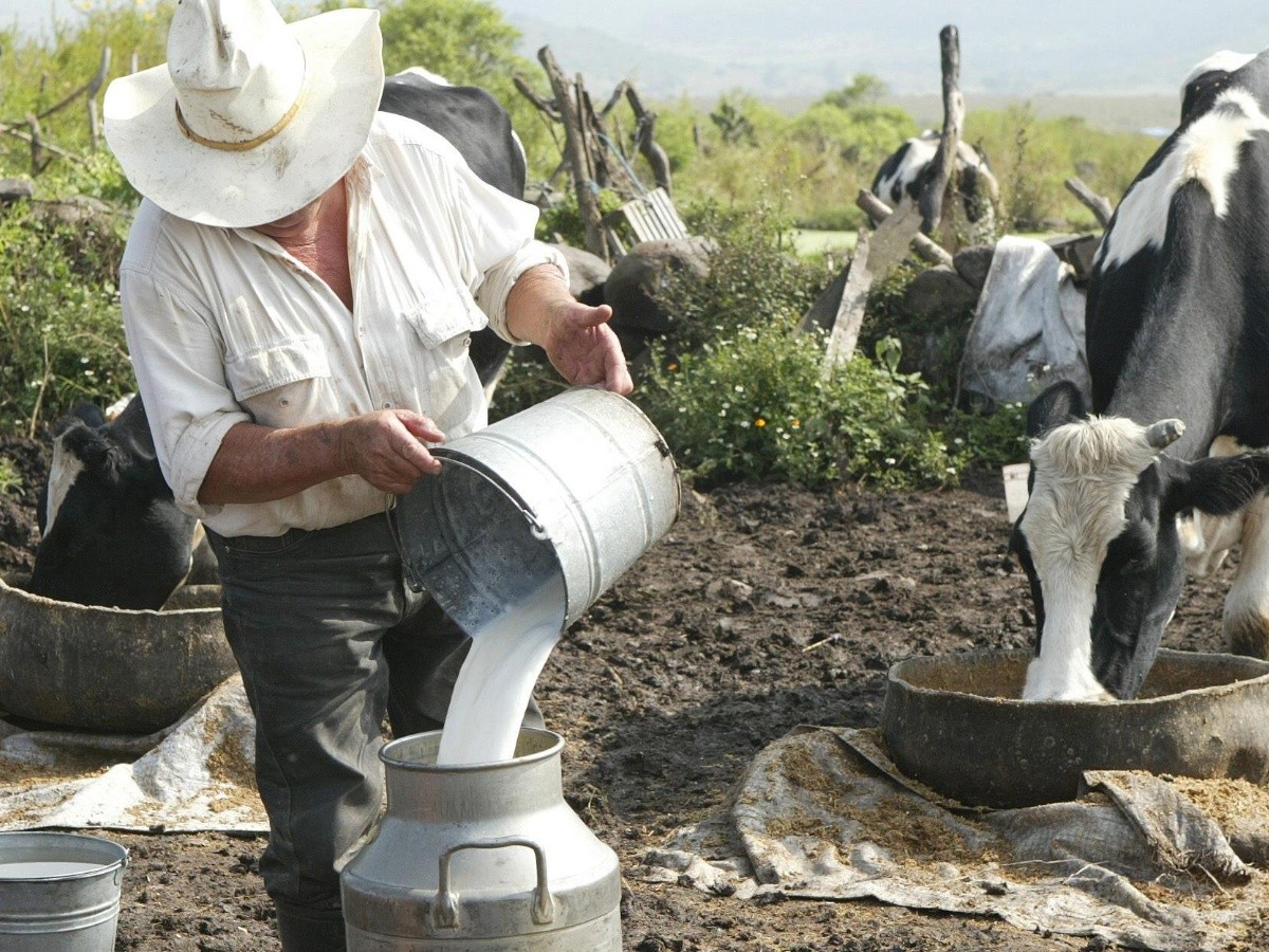  Piden supervisar mercado de la leche en Jalisco 