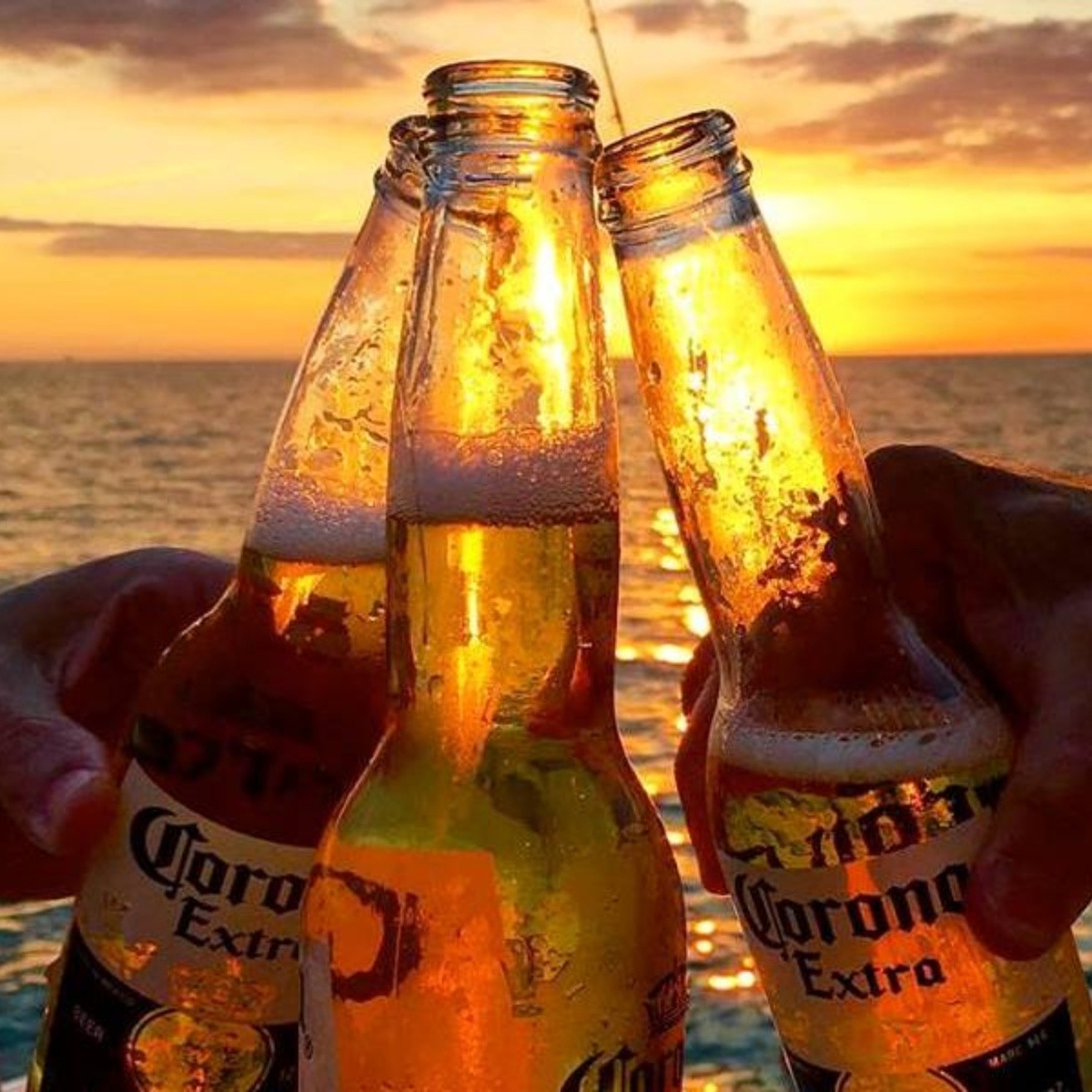 La cerveza Corona podría producirse fuera de México | El Informador